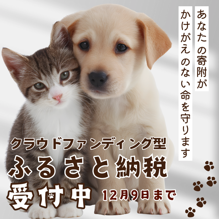 動物愛護（ふるさと納税）