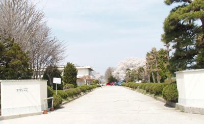 芝沢小学校の外観