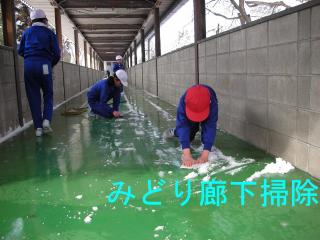 みどり廊下掃除