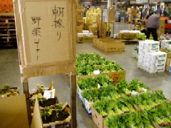 地物野菜の画像1