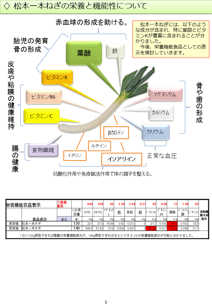 松本一本ねぎの栄養と機能性について