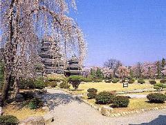 松本城公園の画像