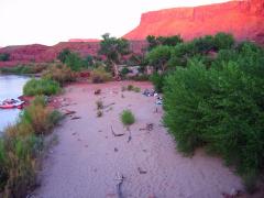 Desert Tripの画像