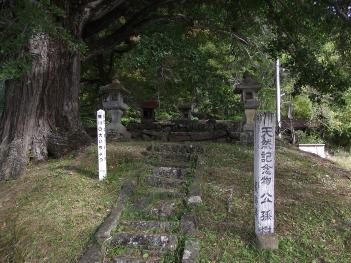 横川の大イチョウの画像4