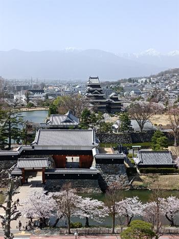 松本城全景