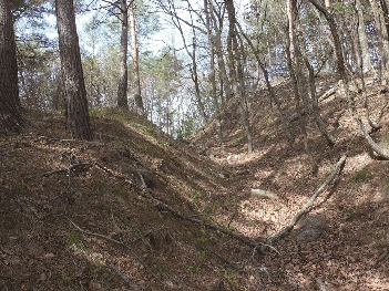 林大城　竪堀の画像