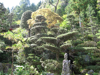 林照寺庭園の画像