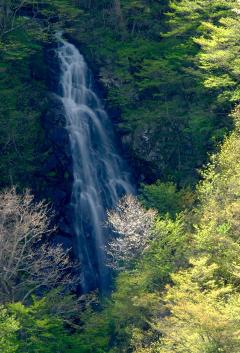 天狗の滝の画像