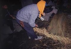 入山辺中村の風邪の神送りの画像