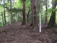 波多山城跡の画像