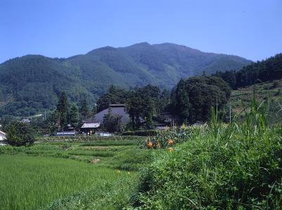 徳雲寺跡