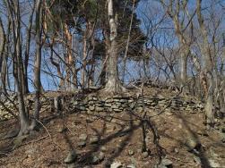 桐原城跡（入山辺地区）　県史跡　石垣と竪堀を多用した城の画像