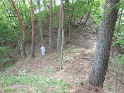 伊深（いぶか）城跡（岡田地区）　市史跡　主郭背後の堀切は必見の画像