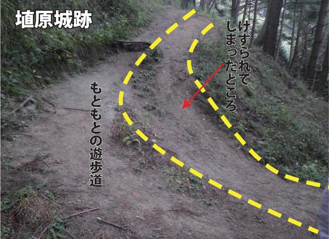 マウンテンバイクなどでけずられた埴原城跡の写真の画像1