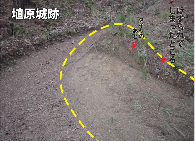 マウンテンバイクなどでけずられた埴原城跡の写真の画像2