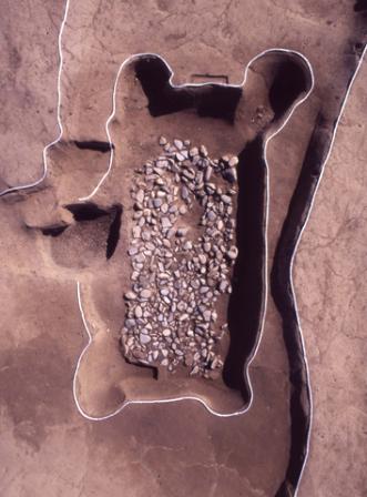出川南遺跡で発見された礫床木棺墓の写真