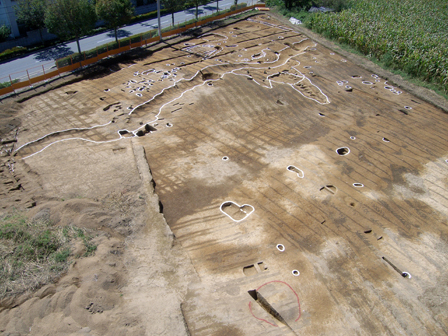 三間沢川左岸遺跡の発掘調査地（上空から）の写真