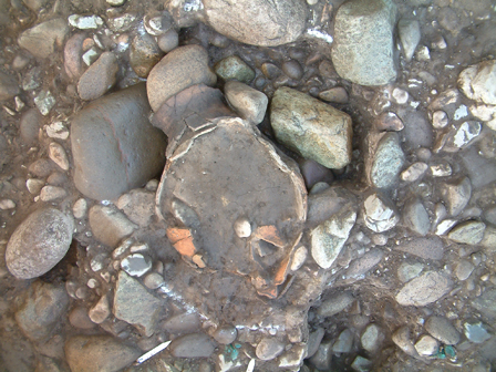県町遺跡発見の弥生時代土器棺墓の写真