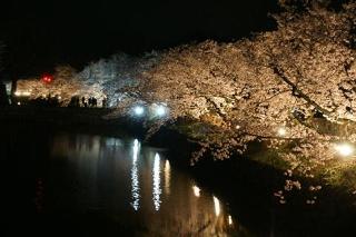 第16回　国宝松本城「夜桜会」の写真