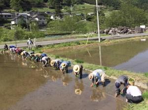 田んぼのわの画像