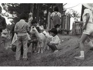 小鳥と小動物の森オープンの写真