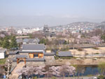 春の国宝松本城周辺の写真