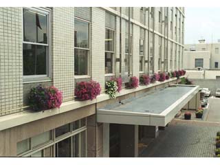 花のプランター・ハンギングバスケット設置(市役所庁舎2階下の外壁) の写真