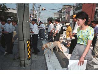 福祉道路整備事業の一環としての点検行動の写真