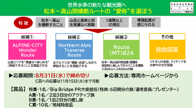 【資料11　世界水準の新たな観光圏へ　松本～高山間横断ルートの“愛称”を選ぼう　選考内容】