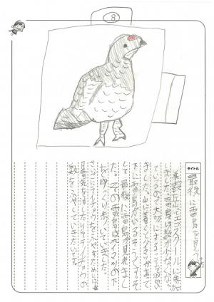 ライチョウに会いに行こう参加者の絵日記3