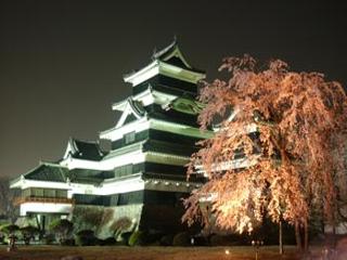 松本城夜桜会の写真
