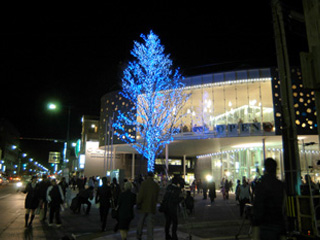 市民芸術館のシンボルツリーのイルミネーション点灯式の写真