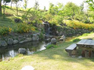 チョットきれいな緑地公園写真1