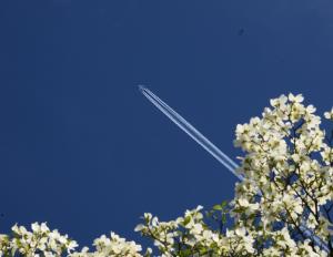 青空と飛行機