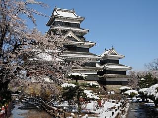城と桜も雪化粧の写真