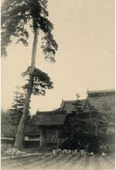 木澤の写真