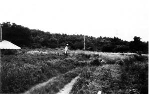 調査地遠景