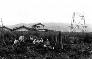 調査地風景