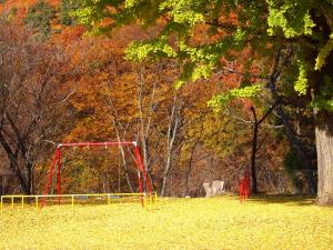 大仏児童遊園　銀杏のじゅうたんと遊具