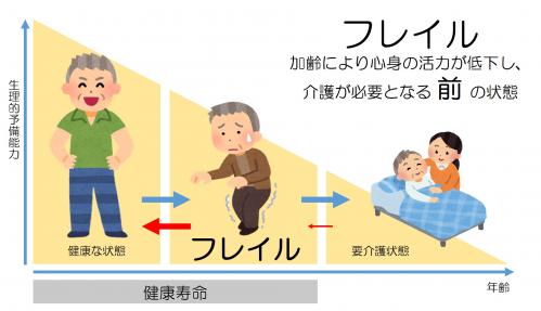 フレイルとは、加齢により心身の活力が低下し、介護が必要になる前の状態を指します。