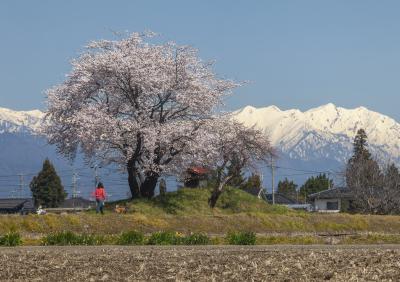 南和田庚申塚からの景色