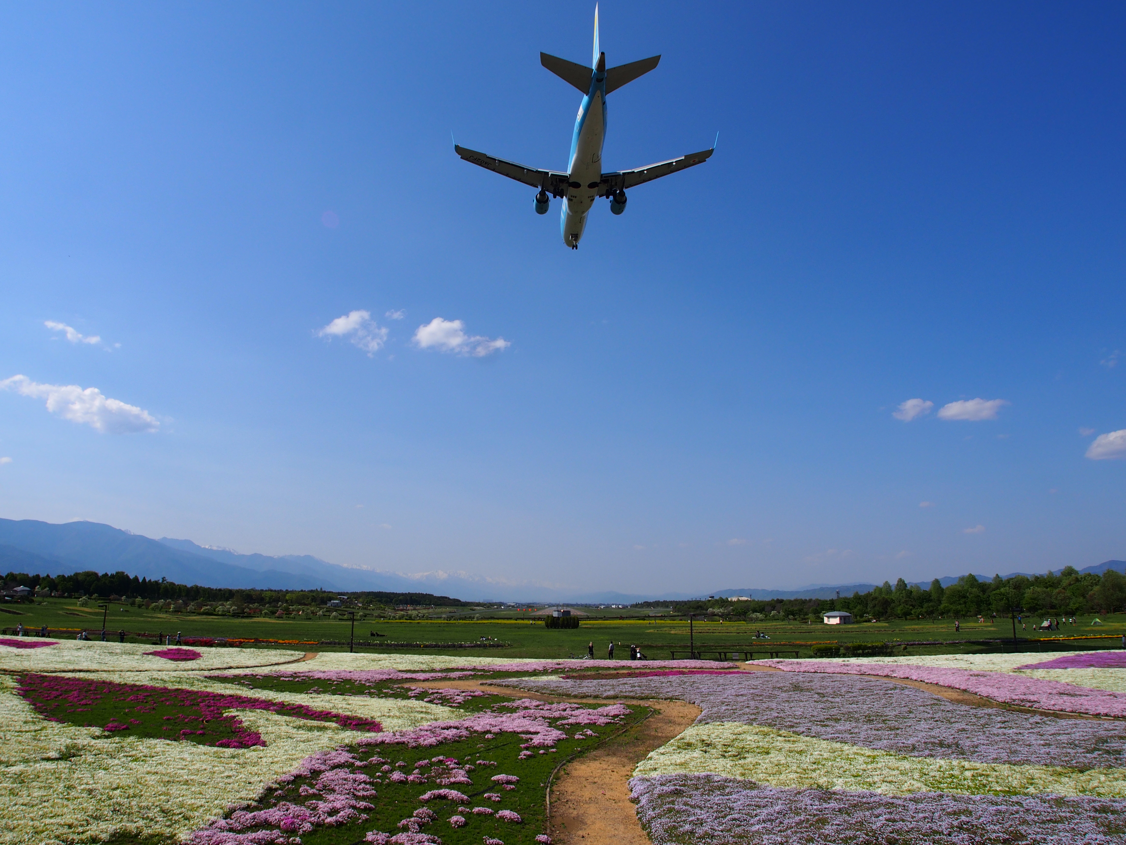 飛行機