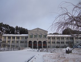 冬