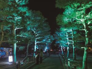 市街地イルミネーション