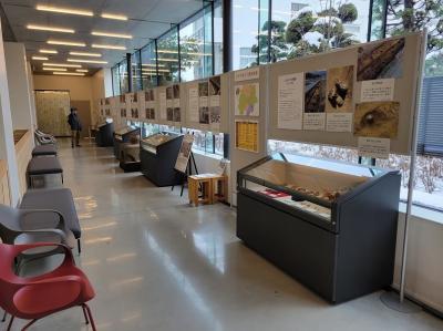 速報展風景（「発掘された松本2023」令和6年3月）