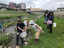 川の中の生きもの探し