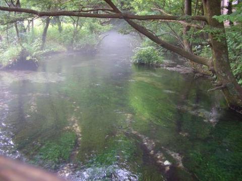 上高地　清水川の画像