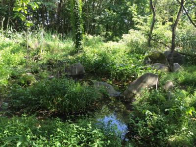 梓川橋下流の左岸の画像