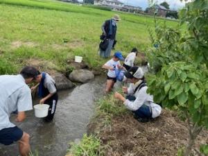 川の生きものを観察している様子