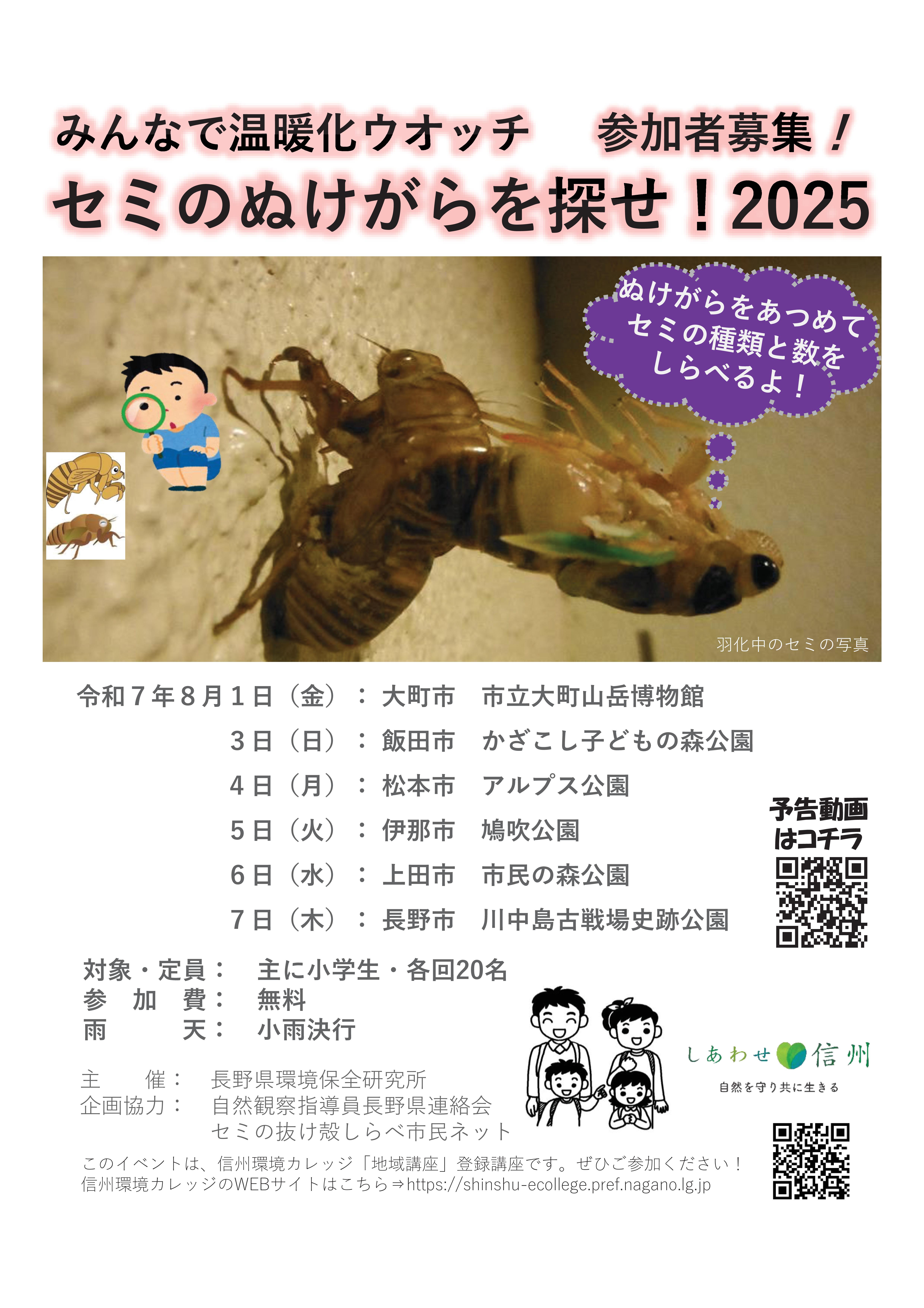 セミの抜け殻をさがせ！